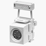 S-Video Jack For Media Network, White