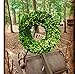 Flora Decor Preserved Boxwood Wreath Round 16