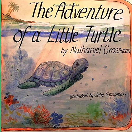 the adventure of a little turtle