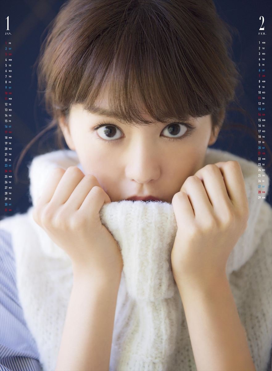 桐谷美玲 2016年 カレンダー 壁掛け B3