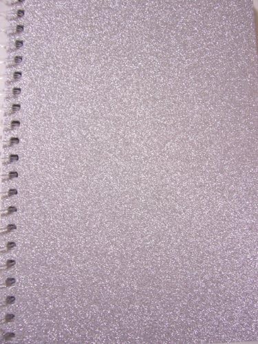 Teamade Glitter Wide Ruled Spiral Notebook ~ Sparkly Silver (8" x 10.5"; 70 Sheets, 140 Pages)