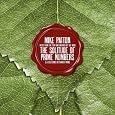 Mike Patton - The Solitude Of Prime Numbers