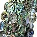 13x18mm abalone shell flat oval beads 16 strand