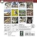 Wolves WWF Mini Wall Calendar 2017