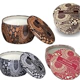 Voluspa Decorative Tin Candles - 4.5 oz