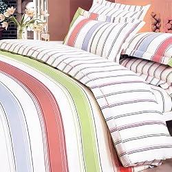 Blancho Bedding - [Young Dream] Luxury Bed In A Bag Combo 300GSM