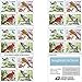 Songbirds in Snow Forever First Class Postage Stamps (20 Stamps) - United States Postal Service