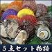愛媛県南宇和島産「豪華活海の幸ギフト 5点セット物語（アワビ・殻付きカキ・サザエ・扇貝・真珠貝）」プレゼントギフト贈り物お歳暮