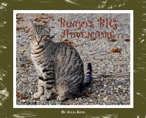 Bingo's Big Adventure (Mom's Choice Awards Winner 2011)