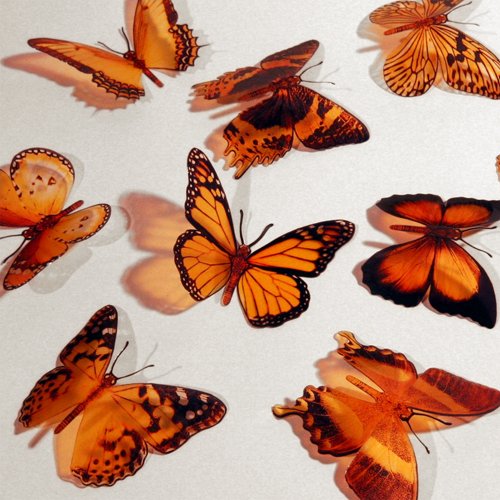 Butterfly 3D Translucent Decoration 15 ORANGE Butterflies