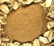 Porcini Powder 4 oz.