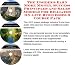 Book The Insider's Earn More Money, Success Principles and Sales Models for Billiards On-line Businesses 3 Course Pack