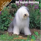 Old English Sheepdog 2008 Wall Calendar