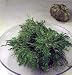 61dEBqa4ukL._SL75_