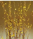 Green Earth Accents Leaf Birch Branches 3-4 Feet, Package of 5