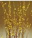 Green Earth Accents Leaf Birch Branches 3-4 Feet, Package of 5