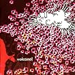 Beautiful Seizure