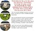 The Rich Man's Make An Extra Income, Inner Game and eCommerce for Smoking Cessation Guide On-line Biz Package (3 CDs)