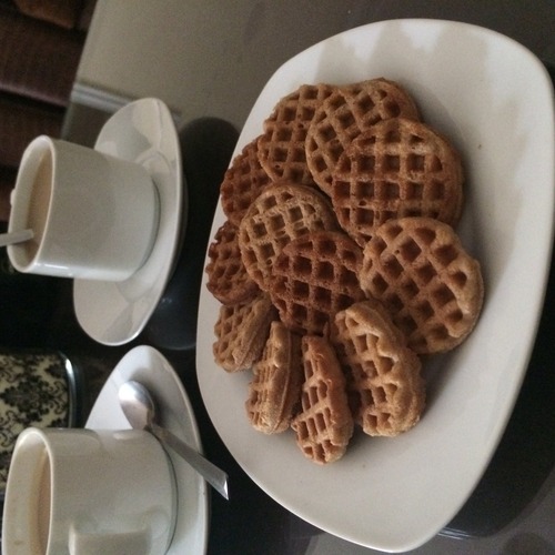 Sunbeam CKSBWFMW30 Mini Waffle Maker, Blue Electric Waffle