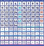 Count to 100 Pocket Chart