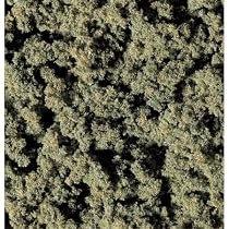 Clump Foliage, Burnt Grass 3qt