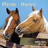 Produkt-Bild: Pferde - Horses 2013. Trends & Classics Kalender