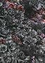 Petah Coyne: Above And Beneath The Skin