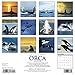 2016 Orcas Wall Calendar