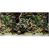 Petco Double Sided Aquarium Background