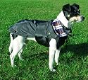 Dog coat 'Paris'