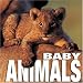 Baby Animals: Supercube (Supercubes)