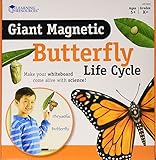 Learning Resources Giant Magnetic Butterfly Life Cycle