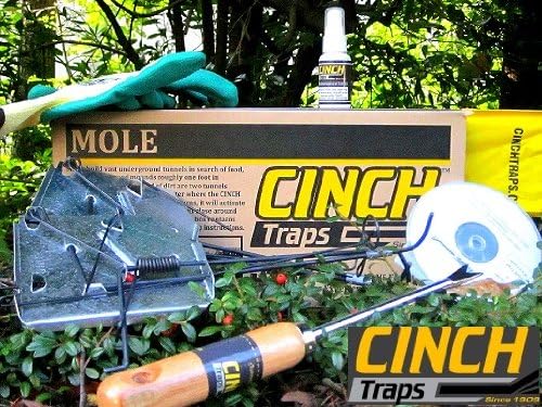 Mole Trap Deluxe Kit - CINCH Deluxe Kit With 2 Traps, Instructional DVD and Brochure, Maintenance Spray and Marker Flags - Made in America