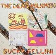 Bucky Fellini
