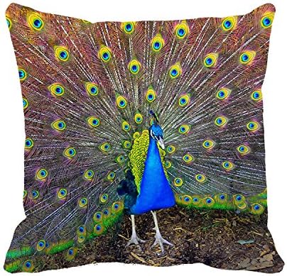 Popawq Decor Canvas Beauty Bird Peacock Pillowcase Decorative Throw Pillow Cover 22" X 22"