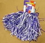 1 Pair Purple Cheerleading Pom Poms