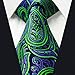 Shlax & Wing Men's Neckties Ties Paisley Green Purple Accessories