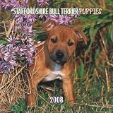 Staffordshire Bull Terrier Puppies 2008 Mini Wall