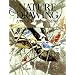 Nature Drawing: A Tool for Learning