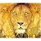 Simply Beautiful Picture Books