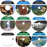 The Ingenious Nine CD No Money Down, Millionaire Making Real Estate Compilation