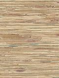 TROPICALE WALLCOVERINGS Wallpaper -TROP40 Wallpaper