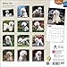 Bichon Frise 2015 Wall Calendar