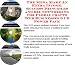 The Mega Make An Extra Income, Success Principles and Biz Networking for Floral Crafts Web Businesses 3 CD Power Pack