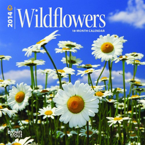 Wildflowers 2014 18-Month Calendar (Multilingual Edition)
