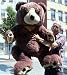 GIANT 48 SOFT STUFED TEDDY BEAR WITH LEATHER-LIKE PAWS- COLOR: BROWN