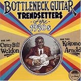 Bottleneck Guitar Trendsetters of the 1930s