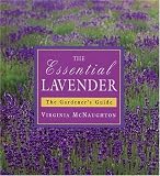 Essential Lavender