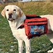 Rucksack f�r Hunde, Gr��e M, 19 x 12 cm
