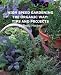 High Speed Gardening the Organic Way: Tips and Projects
